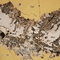 Mackinawite, Pyrrhotite, Cubanite
