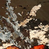 Mackinawite, Pyrrhotite, Chalcopyrite