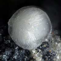 Otavite