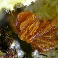 Uranosphaerite