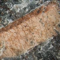 Calciomurmanite