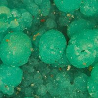 Carrboydite