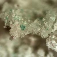 Bandylite