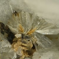 Cascandite