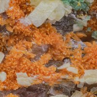 Uranosphaerite, Trögerite, Zeunerite