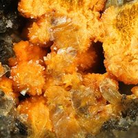 Uranosphaerite