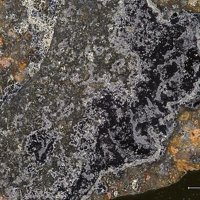 Famatinite, Bournonite, Covellite