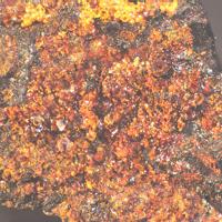 Akaganeite, Lawrencite, Taenite