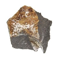 Rapidcreekite