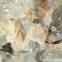 Dalyite, Quartz, Feldspar Group