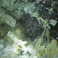 Danburite, Actinolite, Schorl