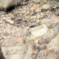 Caysichite-(Y)