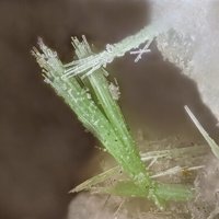 Ulrichite