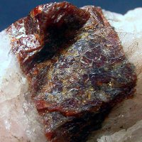 Caryinite