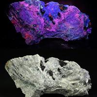 Carletonite, Pectolite, Microcline