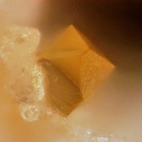 Gasparite-(Ce)