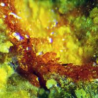 Agrinierite, Uranophane