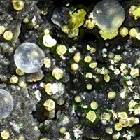 Ecdemite, Fluorite