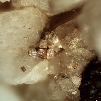 Dalyite