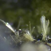 Adranosite-(Fe)