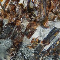 Macfallite, Calcite, Pyrolusite