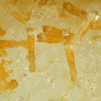 Pachnolite, Hydrokenoralstonite, Thomsenolite