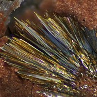 Rankachite