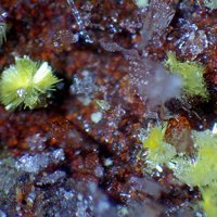 Oswaldpeetersite