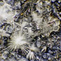 Canavesite, Inderite, Dypingite