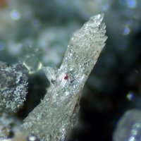 Cascandite