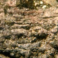 Cannonite