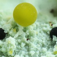 Namibite, Eulytine, Chrysocolla