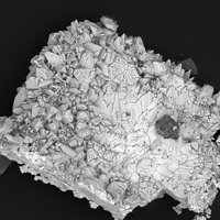 Palmierite