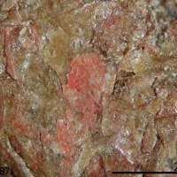 Ganomalite