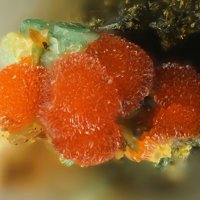 Uranosphaerite