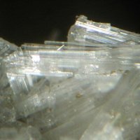 Kaliophilite