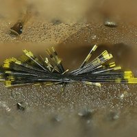 Ianthinite, Schoepite