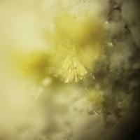 Adranosite-(Fe)