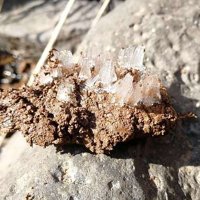 Ice