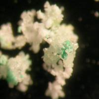 Bandylite, Betpakdalite-NaCa, Hexahydrite