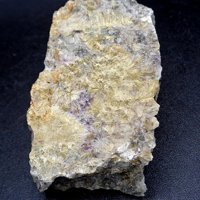 Carpholite
