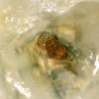 Tancaite-(Ce)