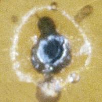Cadmium