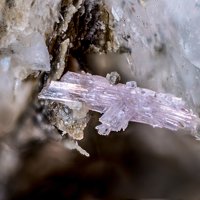 Cascandite