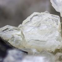 Capranicaite