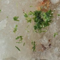 Namibite, Dolomite