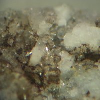 Caysichite-(Y)
