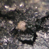 Lanthanite-(Nd)