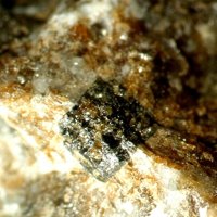 Macedonite