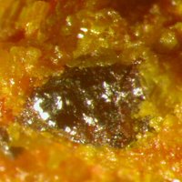 Laffittite, Orpiment